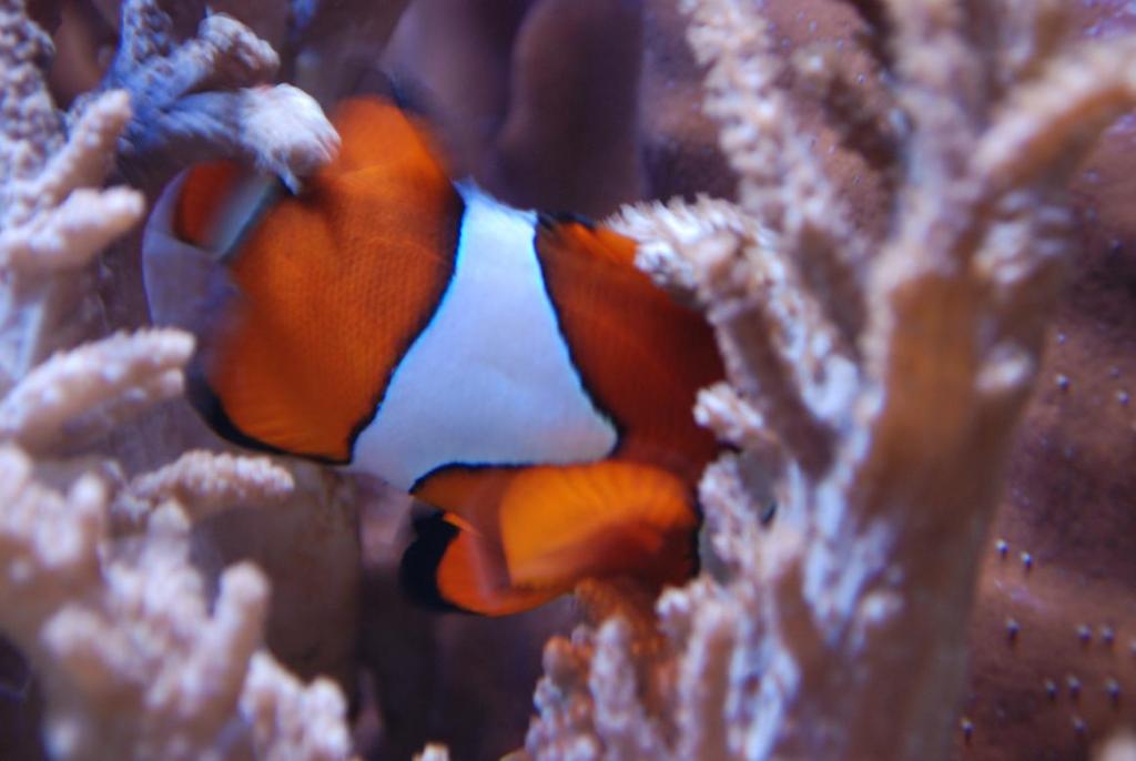 Besuch im ZOO 5
