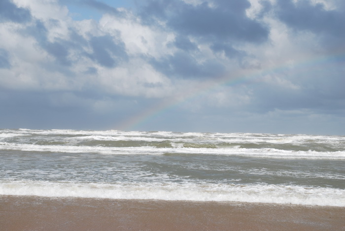 Bild 010(001)