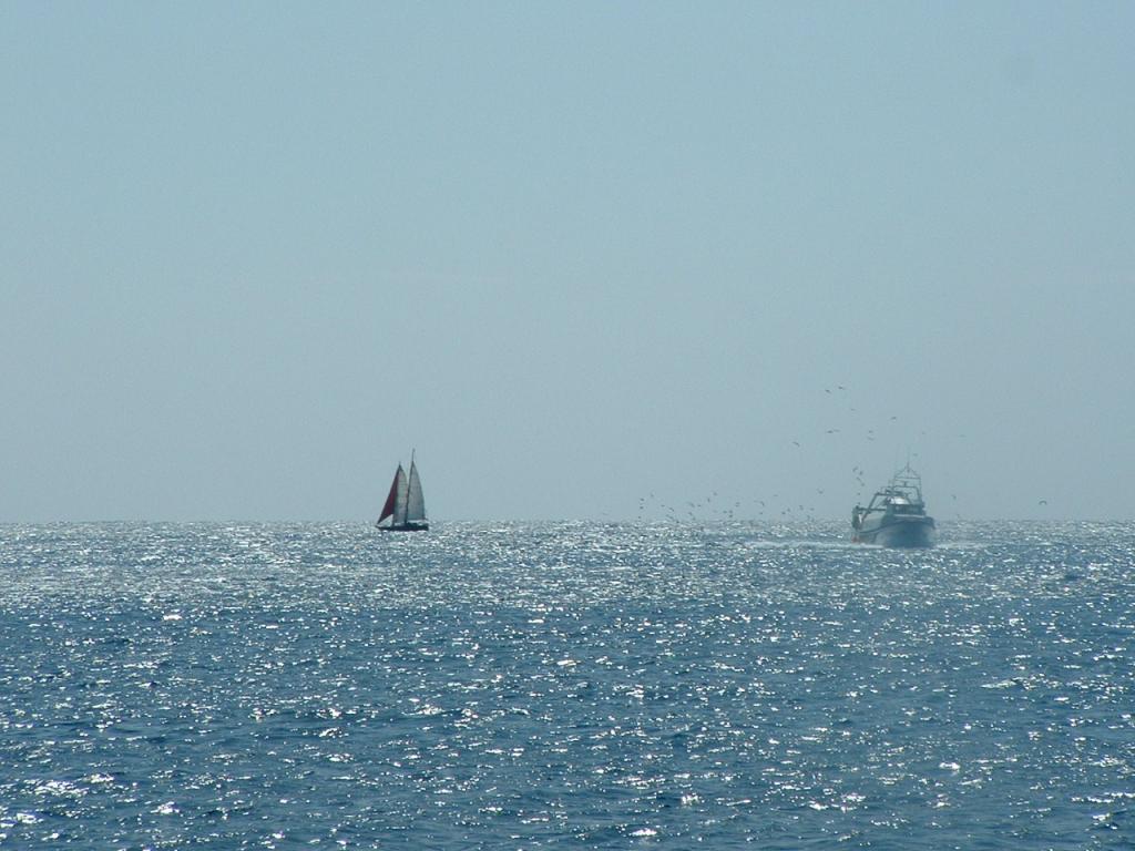 Bild 010
