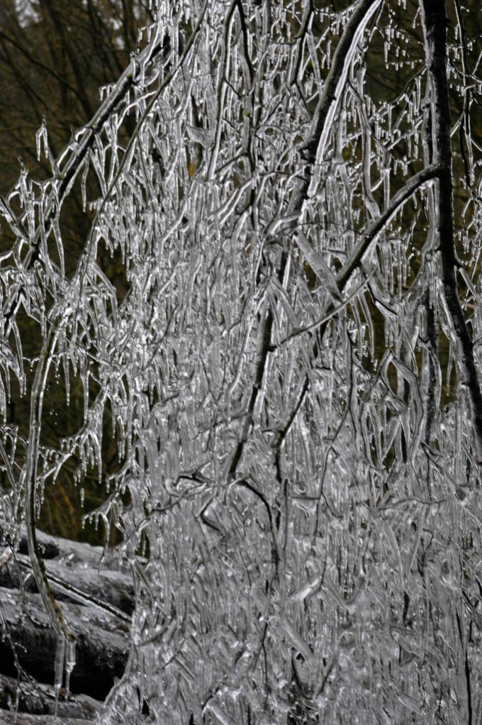 Bild 010