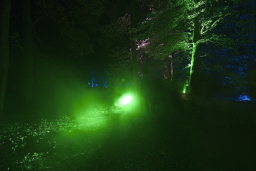 Bild 010