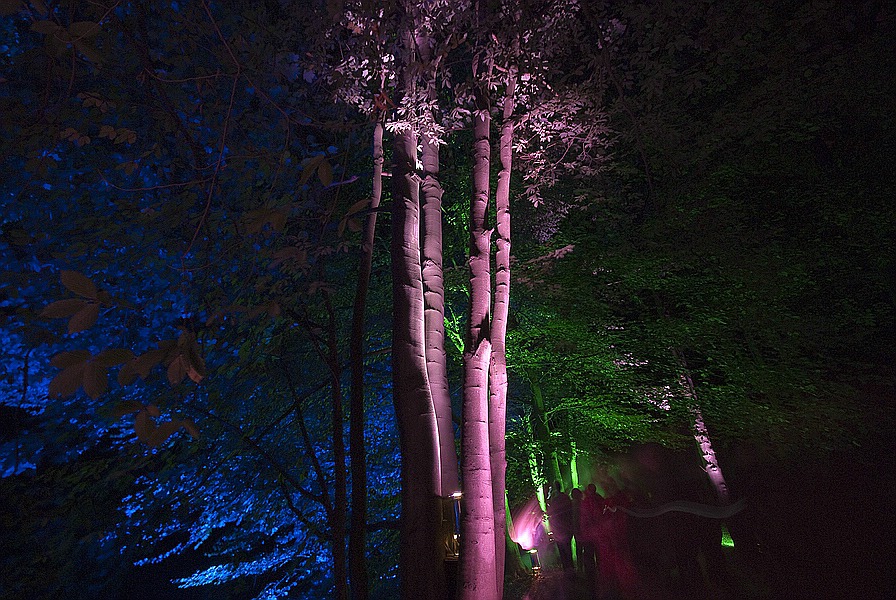 Bild 011