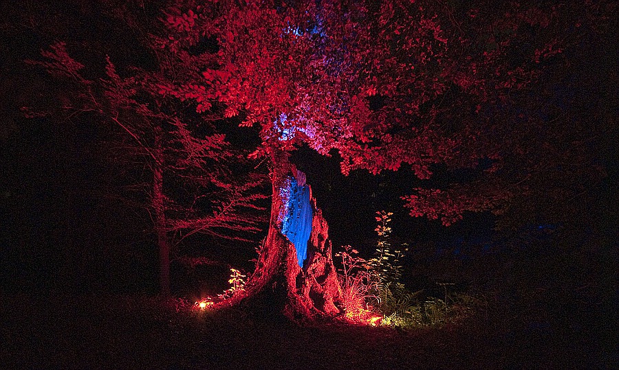 Bild 014