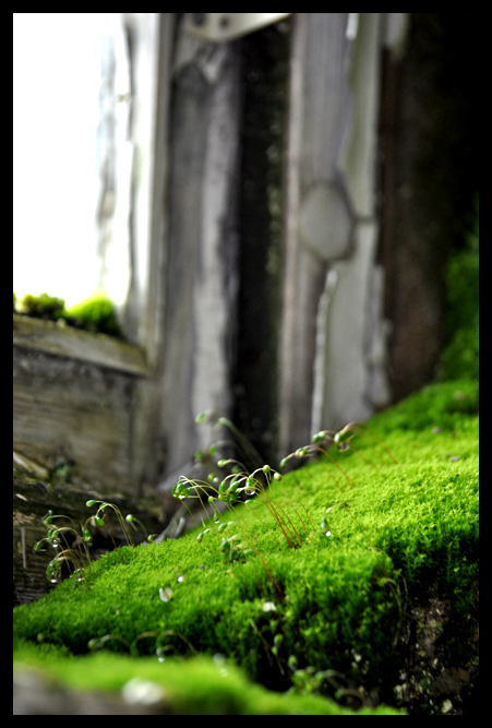 Bild 032