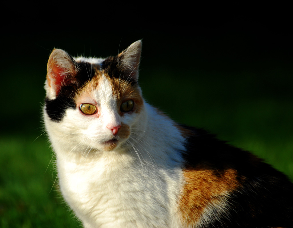 Bild 090