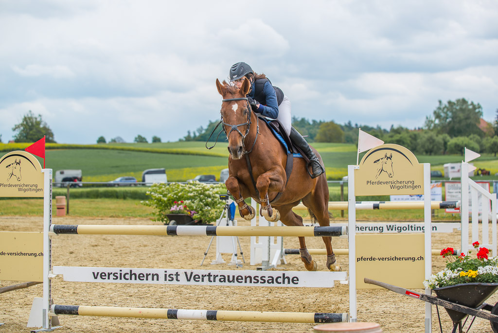 Bild 2