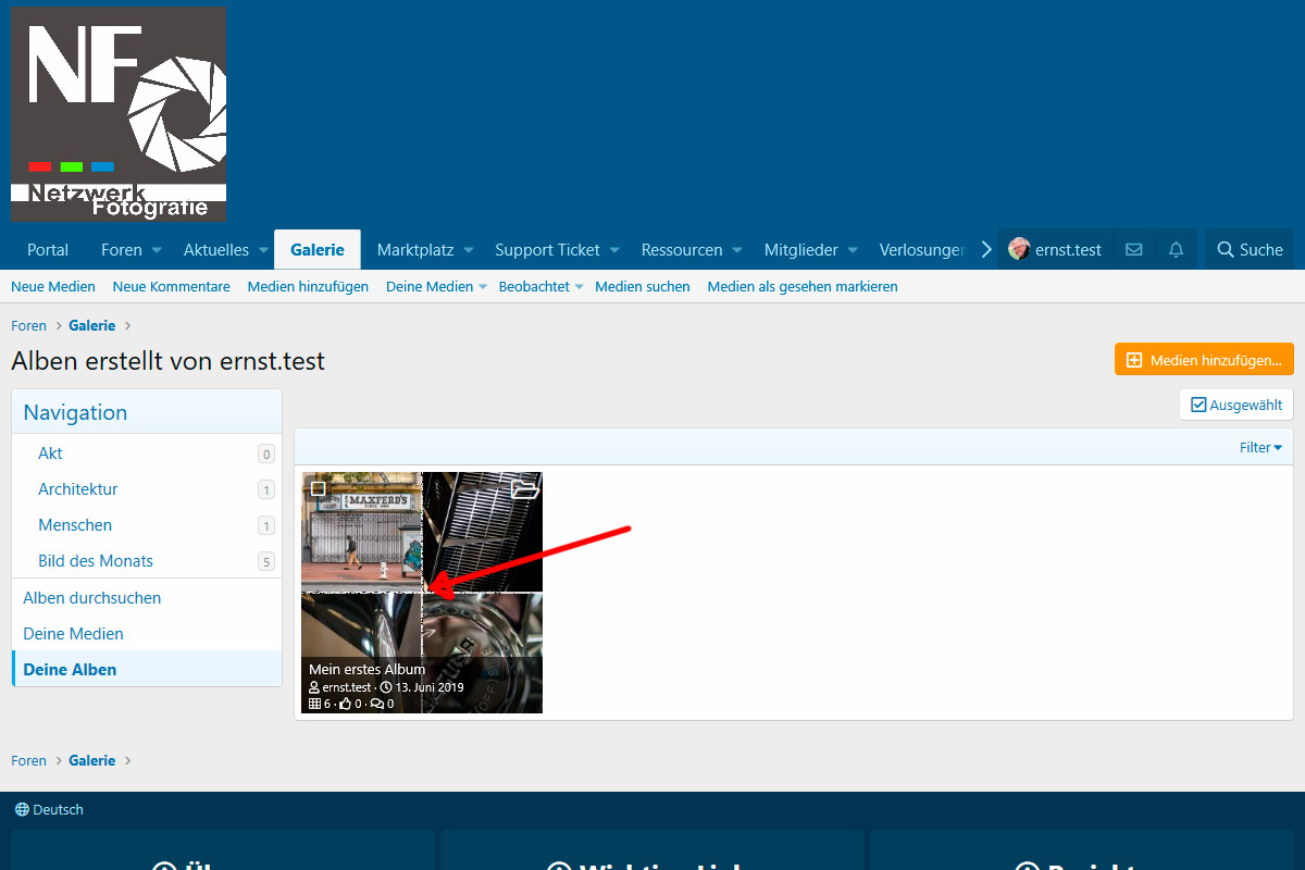 Bild-aus-Album-oder-Link-002.jpg