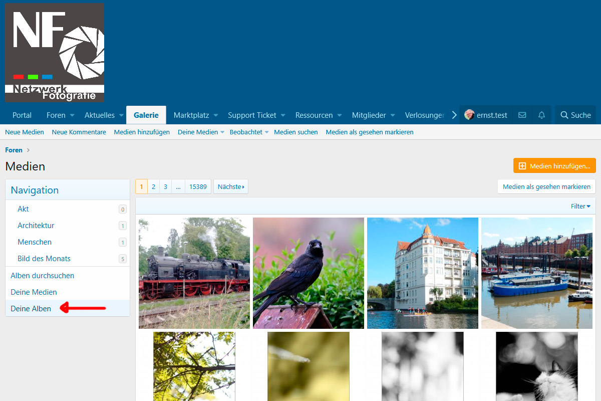 Bild-aus-Album-oder-Link-003.jpg