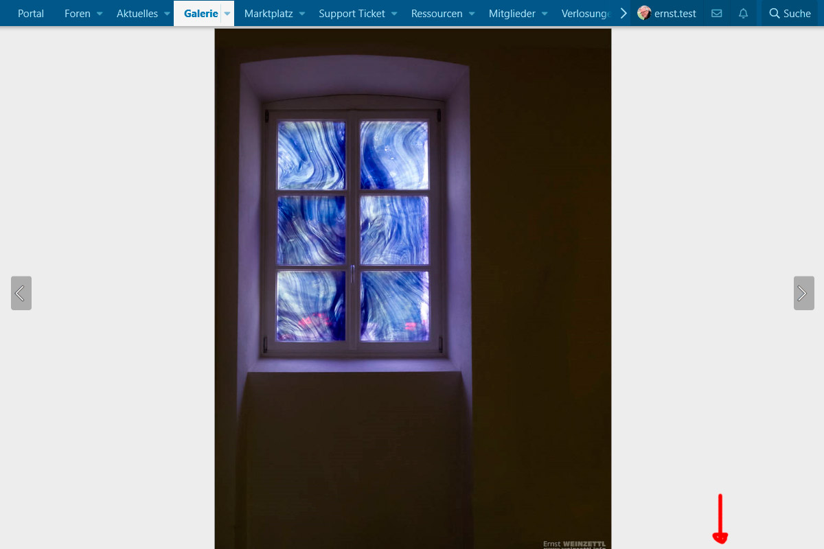 Bild-aus-Album-oder-Link-004.jpg