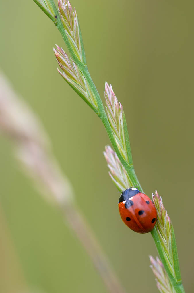 Bild LR3 .14. Juni 2014. .DSC 5792