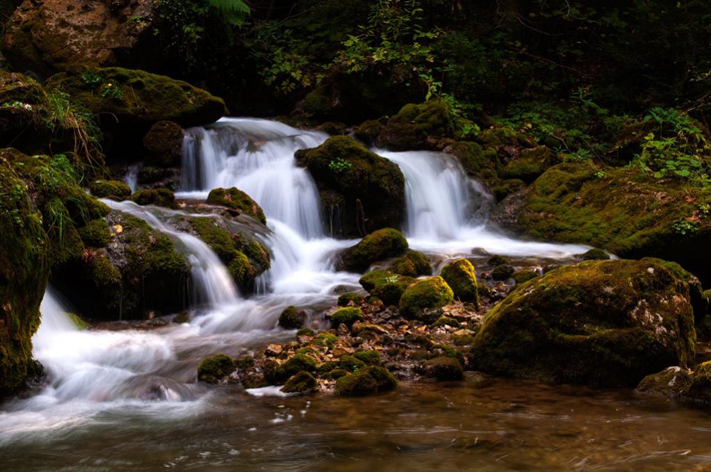 Bild wurde in der Bärenschützklamm aufgenommen.