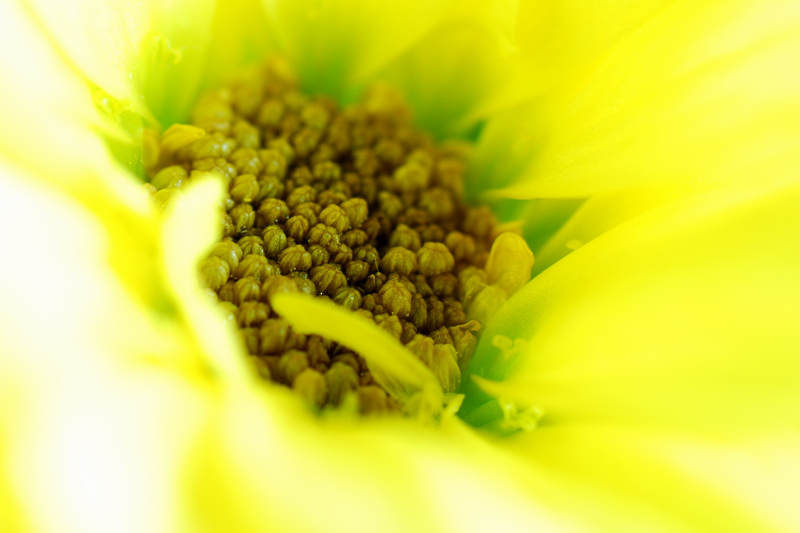 bild02