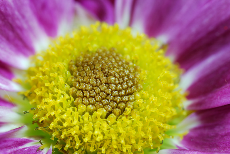 bild03