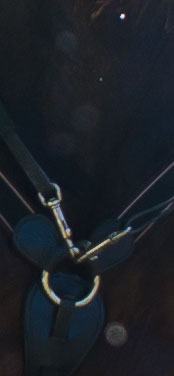 Bild3