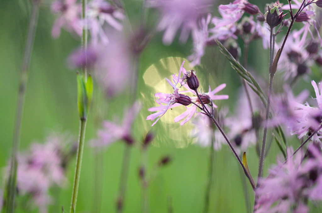 Bild7.3