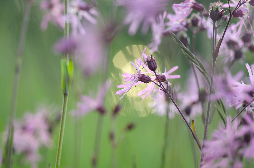 Bild7.4