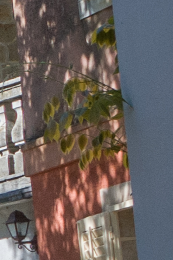 Bildfehler Ästchen