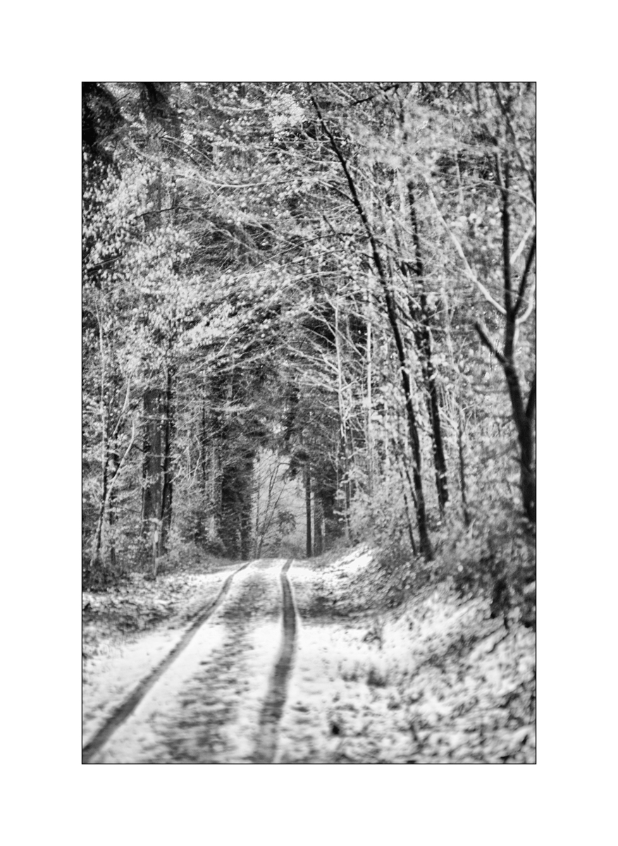 BildPZ1 9327