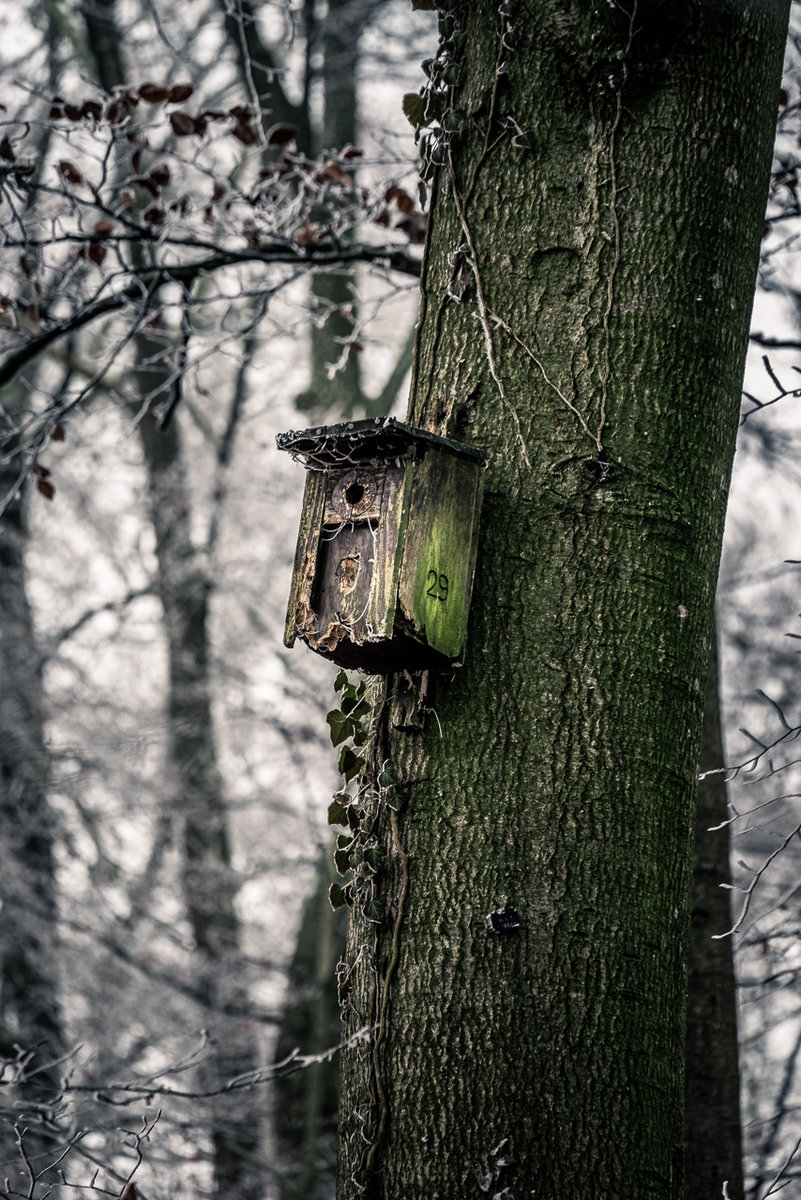 Birdhouse 29