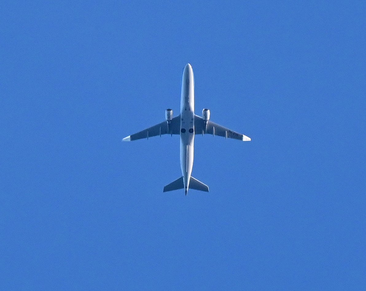 Birds in flight - 3.jpg