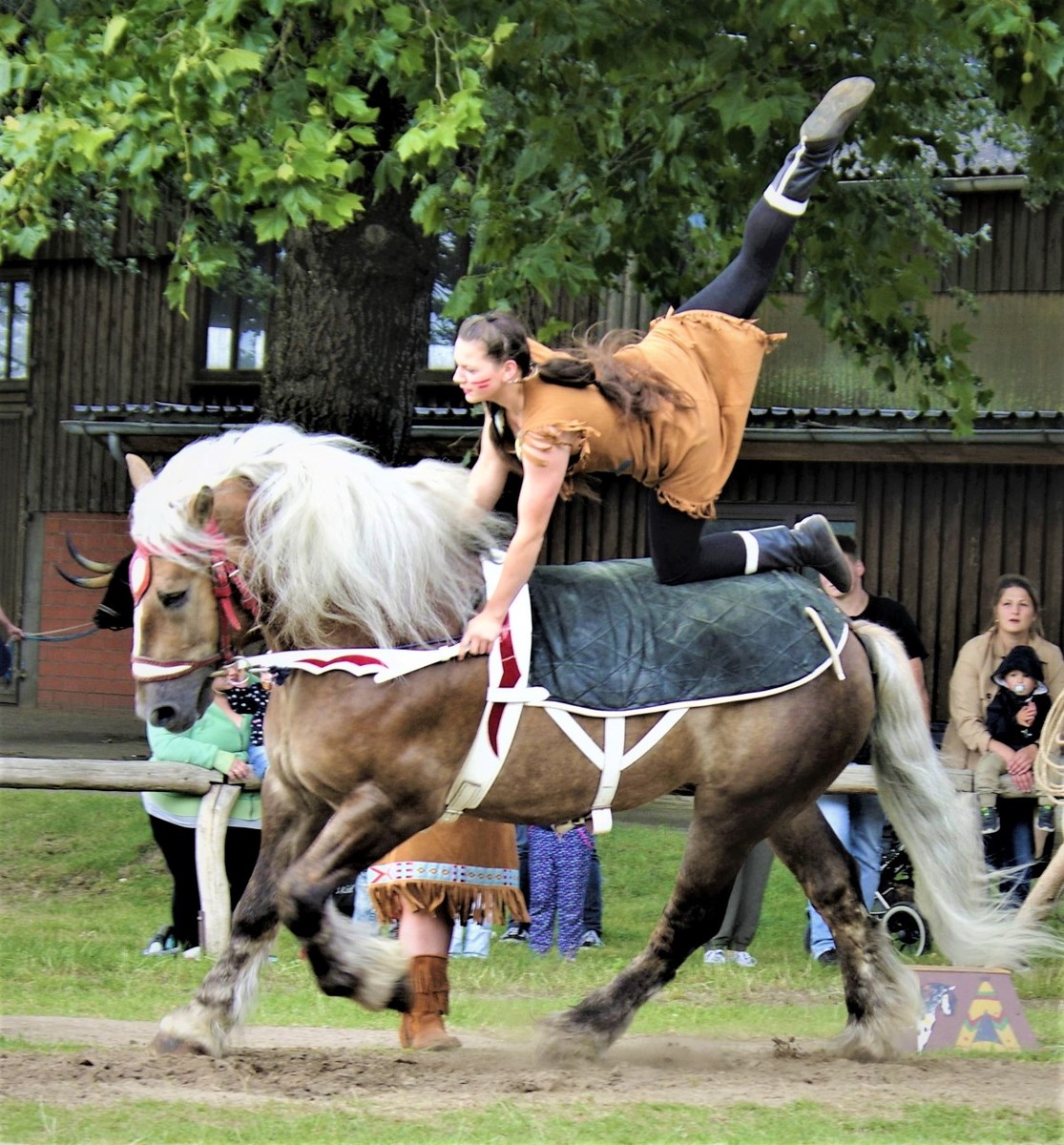 Bissel Zirkus 1.jpg