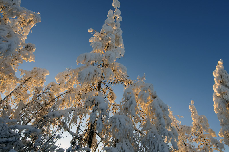 bizarre Winterlandschaft