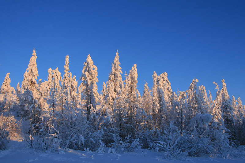 bizarre Winterlandschaft