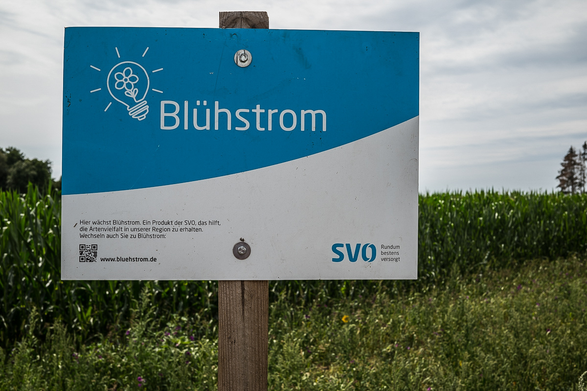 Blühstrom (1 von 1).jpg