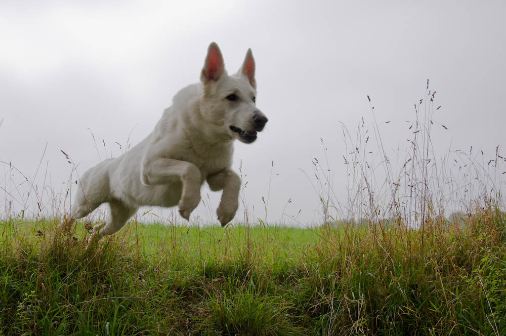 Blanca in Action