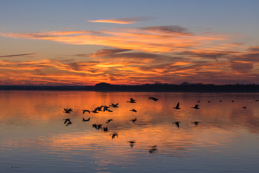 Blankensee002
