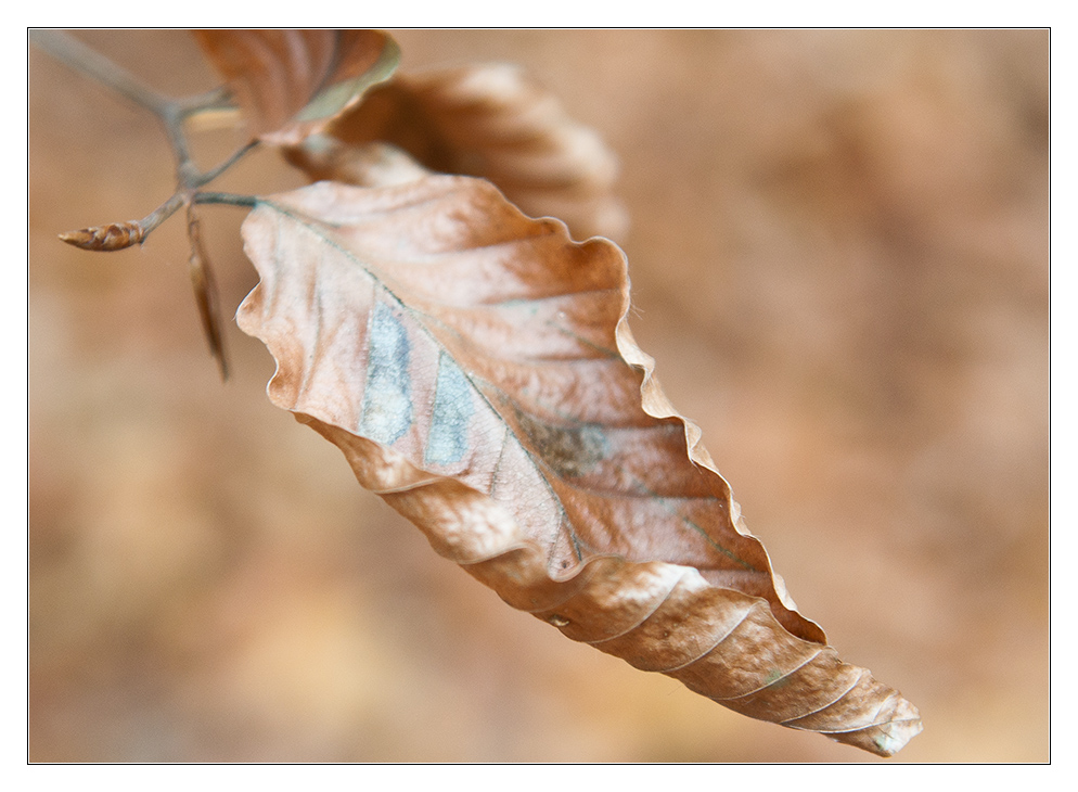 Blatt 2