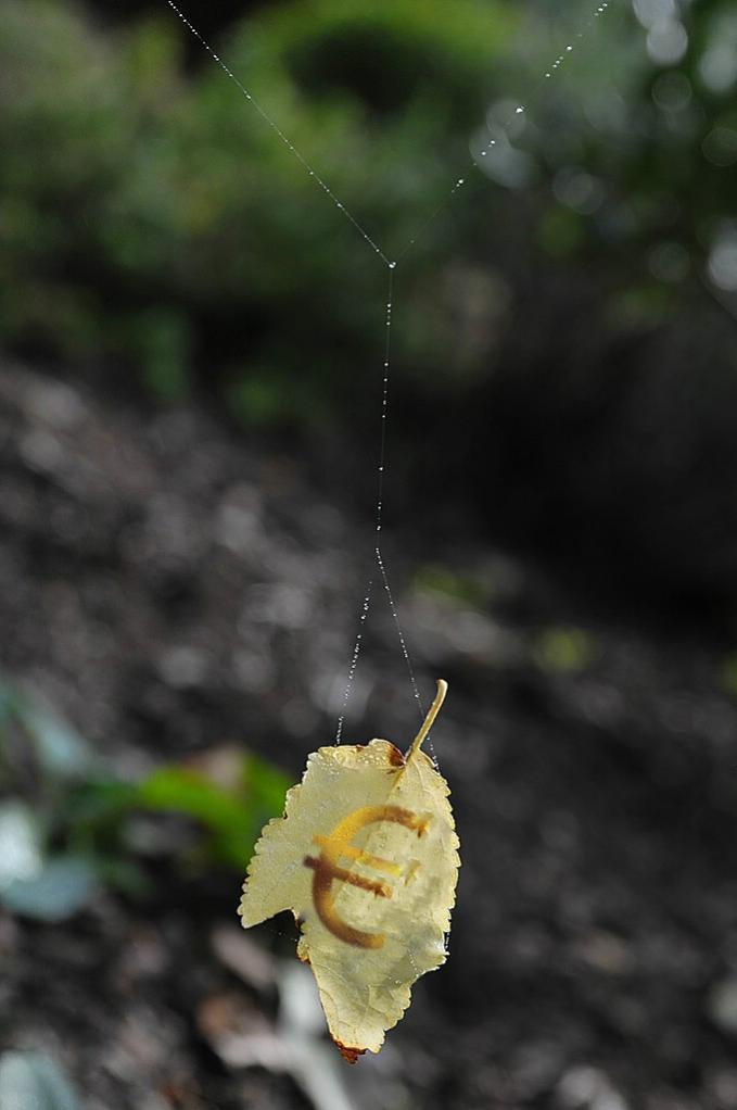 Blatt1