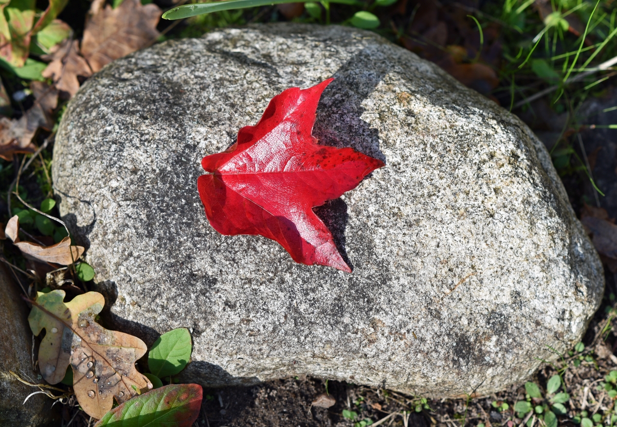 blatt_3.jpg