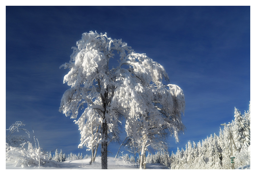 Blau-weiss am Holmenkollen