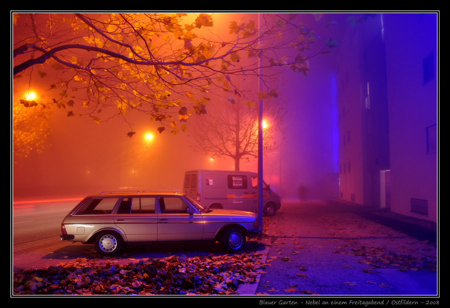 Blauer Garten im Nebel
(Photo-Nachbearbeitung: Keine; ausschl. Ausschnitt&amp;Rahmen, GIMP)