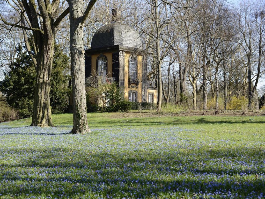 Blauer Scillateppich