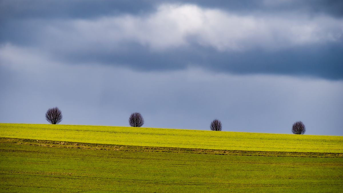Blaugelbgrün