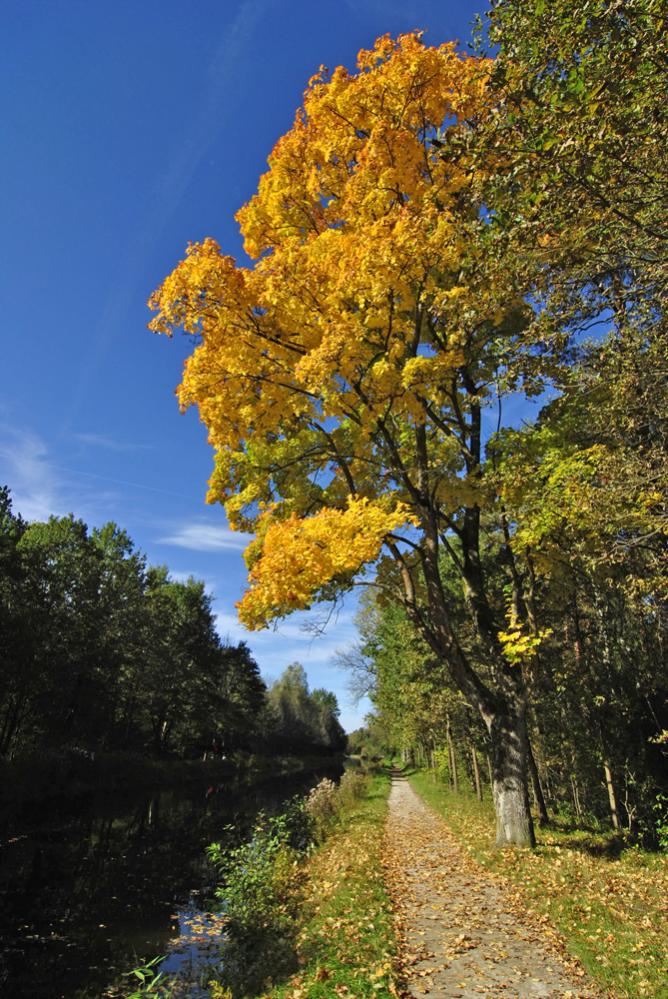 blaugelbgruen