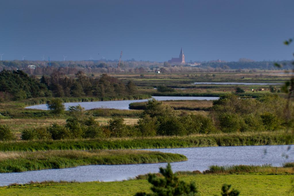 Blick über den Bodden von Prerow "Hohe Düne" nach Barth