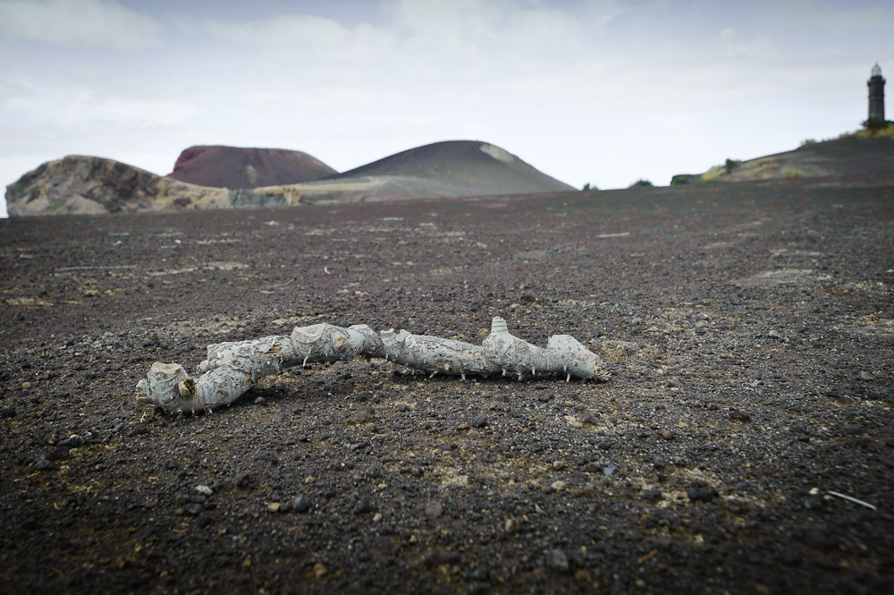 Blick auf Capelinhos / Faial