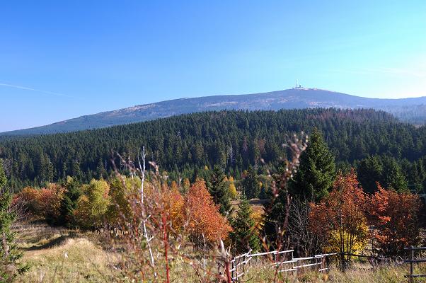 Blick auf den Brocken (vom Torfhaus aus)

D40