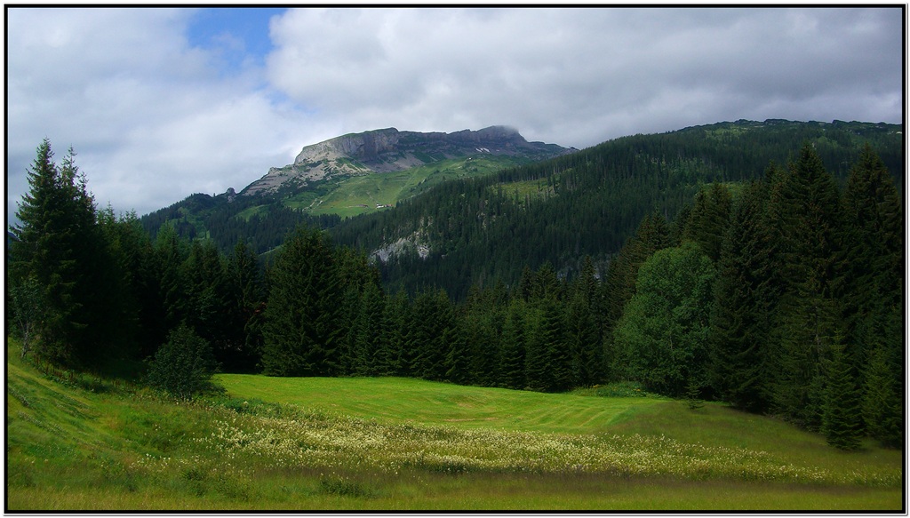 Blick auf den Hohen Ifen...ein Berg der anderen Art