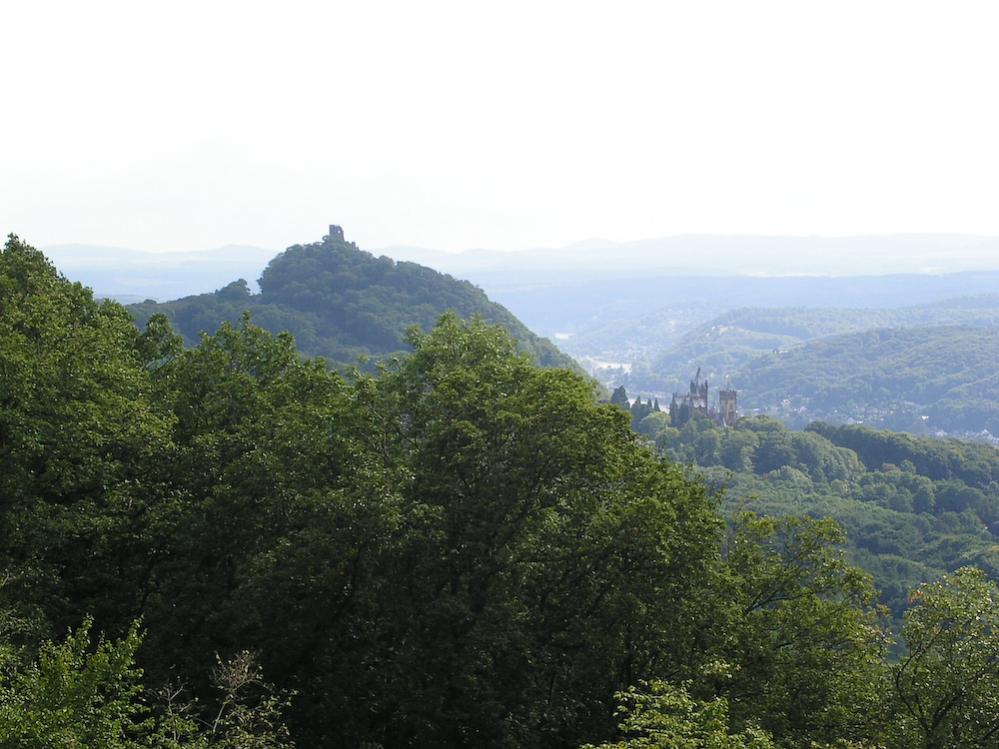 Blick auf den Rgein vom Petersberg aus