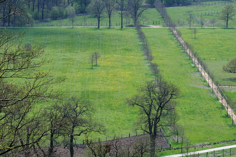 Blick auf den Tierpark