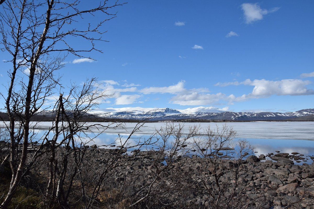 Blick auf den Torneträsk Nähe Abisko