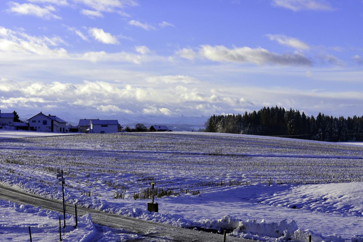 Blick auf die Alpen