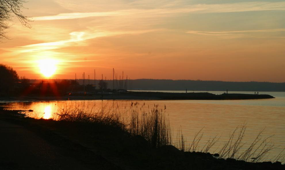 Blick auf Jachthafen am Abend