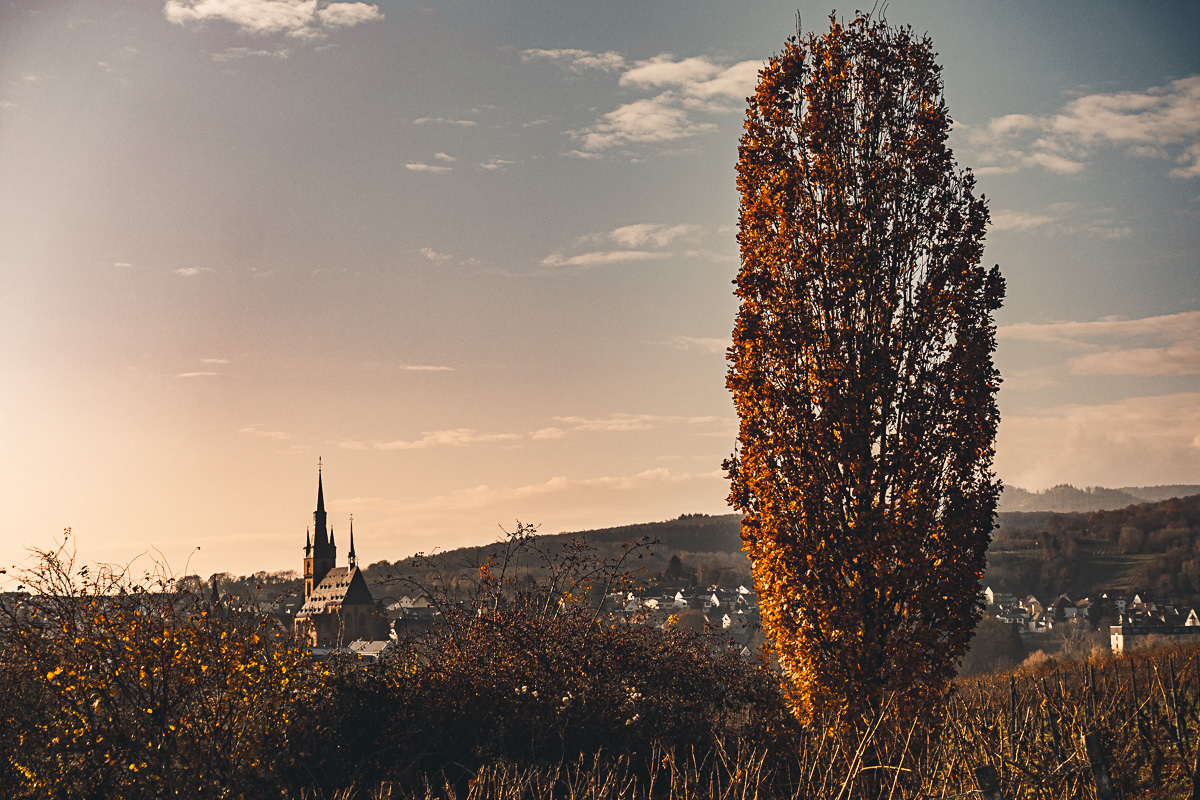 Blick auf Kiedrich