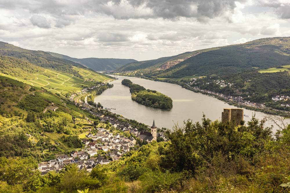 Blick auf Lorch am Rhein und das Lorcher Werth