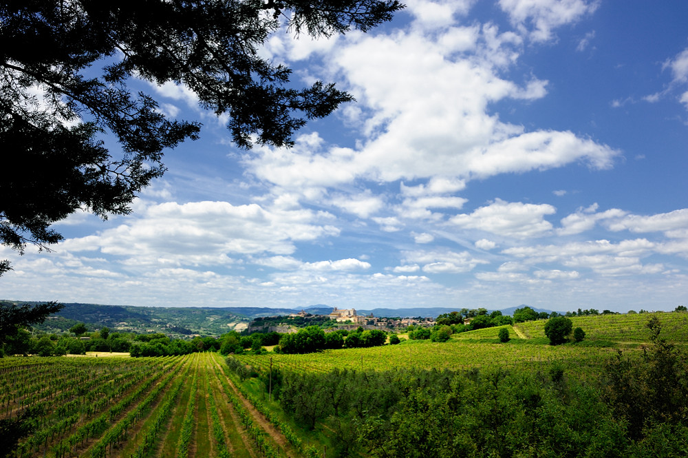Blick auf Orvieto